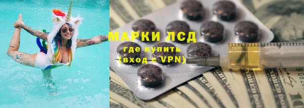 индика Арсеньев