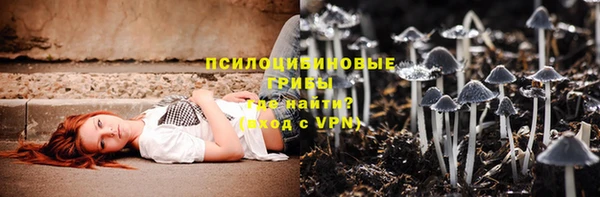 индика Арсеньев