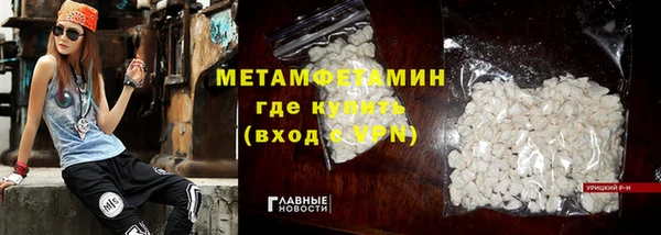 индика Арсеньев