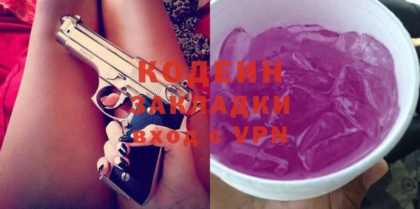 индика Арсеньев
