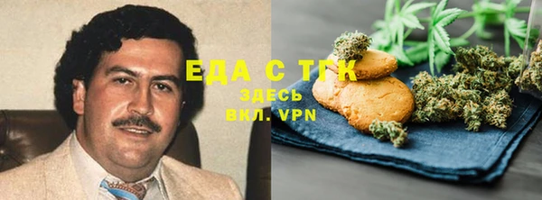 индика Арсеньев